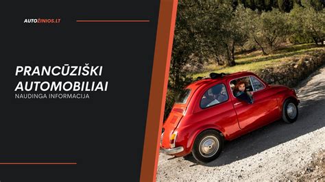 Infografika: geriausi mėnesiai automobilių nuomai Fuerteventūroje pagal kainas