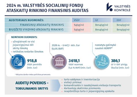 Infografika: Duomenys pateikiami VIN ataskaitose