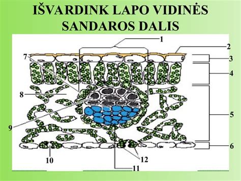 Alyuminio difuzoriaus paveikslėlis, parodantis jo išdėstymą ir funkciją