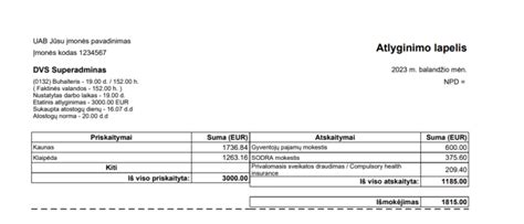 Pavyzdys, kaip atrodo „geltonasis lapelis“ su informacija apie pažeidimą