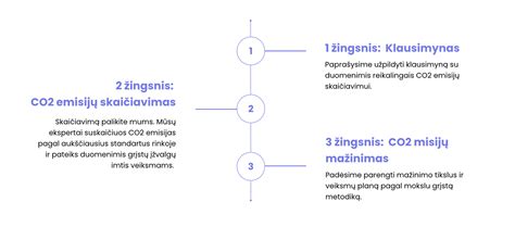 Techninė schema: schema, iliustruojanti CO2 emisijų matavimo procesą ir degalų sąnaudų apskaičiavimą automobiliuose