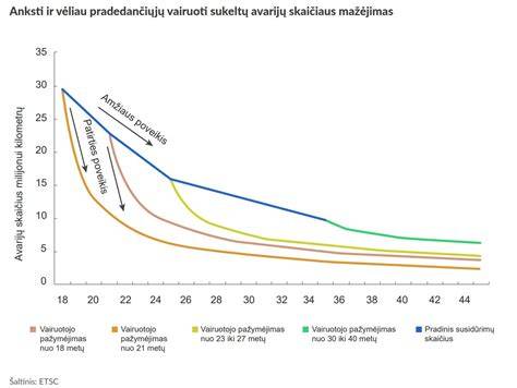 schema, iliustruojanti vairuotojų trūkumo priežastis ir pasekmes