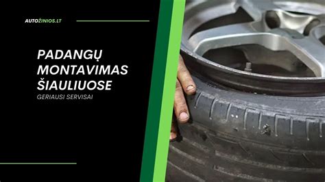 Įvairių tipų automobilių padangų palyginimas pagal paskirtį ir sąlygas