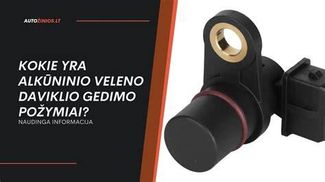 Infografika: Alkuninio veleno funkcijos ir gedimų požymiai