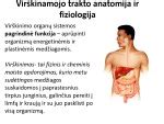 Skevelinė diagrama, iliustruojanti virškinamojo trakto anatomiją ir opų atsiradimo vietas