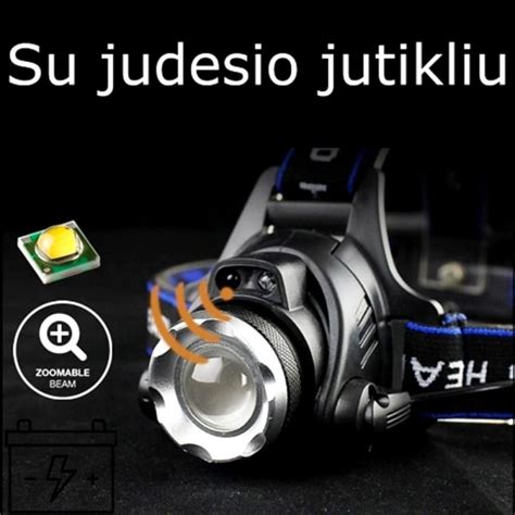 Lygiažvynio žalčio iliustracija su karūną primenančiu raštu ant galvos
