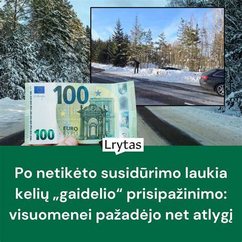 Infografika: eismo įvykio vietos schemos
