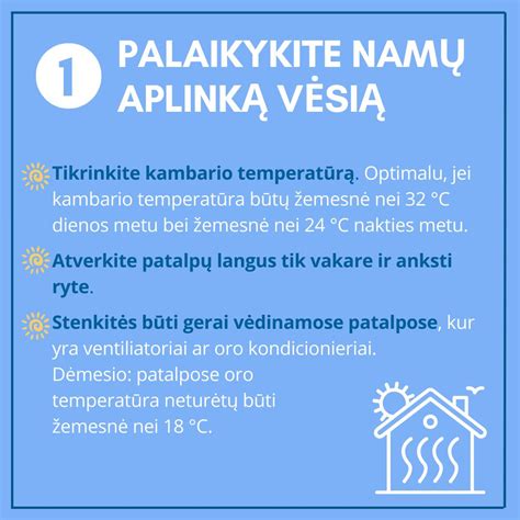 Infografika apie šilumos smūgio simptomus ir prevenciją šunims