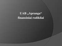 Infografika: finansiniai rodikliai arba kreditingumo skalė