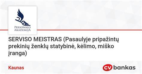 serviso meistras diagnostika