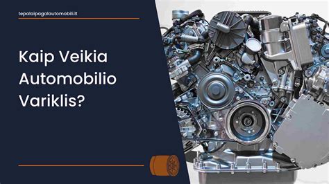 schematinis paaiškinimas, kaip veikia automobilio statymo rinkliavos sistema ir kokie yra galimi klaidos atvejai