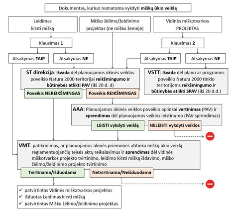 Schema: intramedulinės vinies įkišimo į blauzdikaulį schema