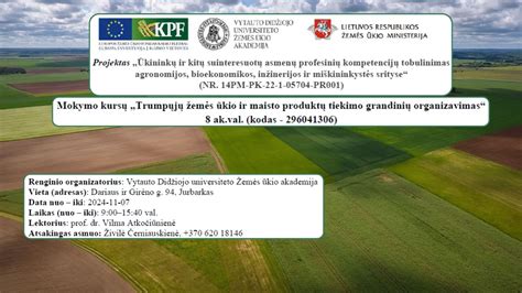Infografika: automobilių dalių tiekimo grandinė ir nepriklausomų tiekėjų vieta