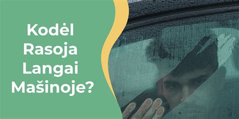 Tematinė nuotrauka: rasojantys automobilio langai