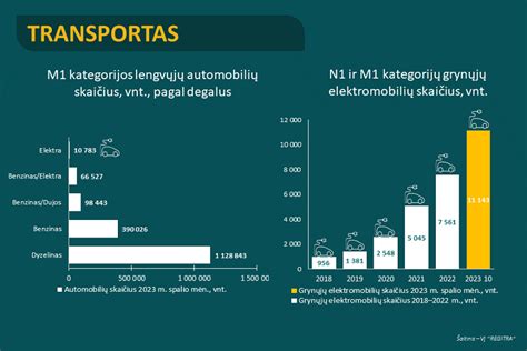 diagrama, lyginanti naujų ir naudotų elektromobilių rinkos dalis