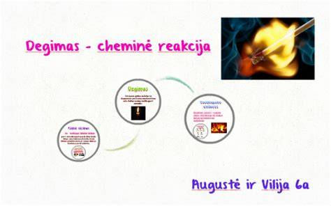 Infografika: kaip veikia akumuliatoriaus cheminė reakcija