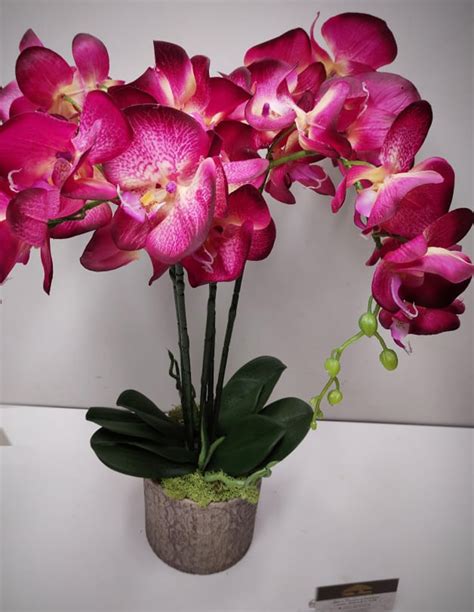 Buteliuko ir juodosios orchidėjos kompozicija, atspindinti prabangą ir tamsius akordus