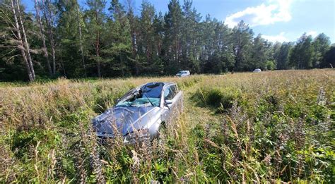 Teminė nuotrauka su briedžiu kelyje ir automobiliu