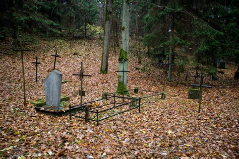 Nuotrauka: apleistos Našlaičių kapinės su keliais prižiūrimais kapais ir išlikusiais žemės kauburiais.
