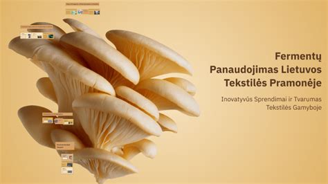 silikoninių minkštiklių panaudojimas tekstilės pramonėje