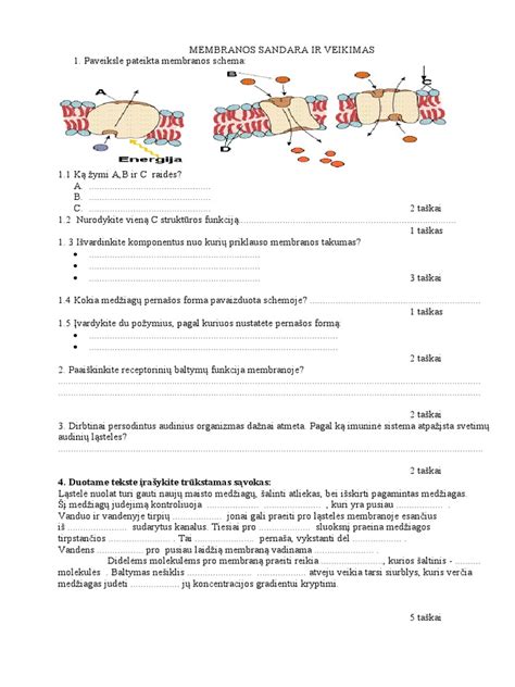 silikono minkštiklių struktūra ir veikimas