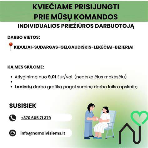 Veros vairuotojo darbo vietos schematis pavaizdavimas