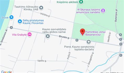 Žemėlapis, rodantis autoservisų vietą Birutės gatvėje Kuršėnuose