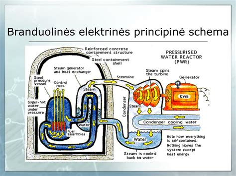 Branduolinės elektrinės reaktoriaus schema su saugos sistemomis