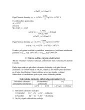 Galvaninio elemento sandaros schema