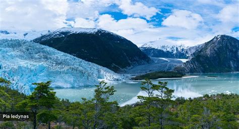 Patagonijos geografinis žemėlapis, rodantis Argentinos ir Čilės dalis, Andų kalnus ir lygumas