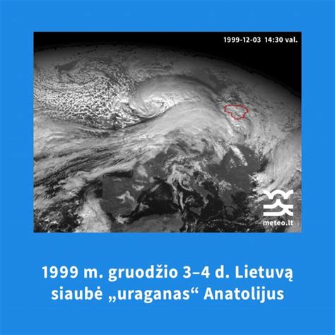 Nuotrauka, kurioje matomas guanakas Patagonijos stepėse