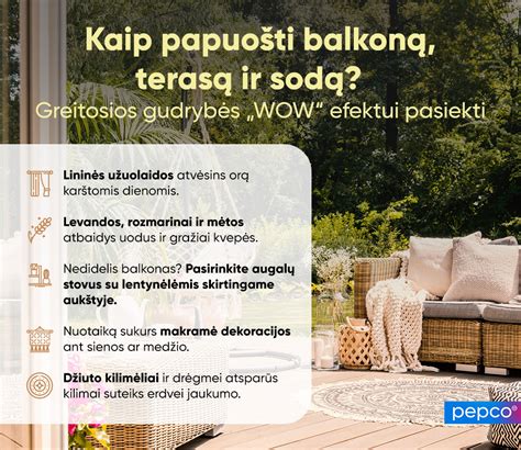 Webasto priežiūros patarimai infografika