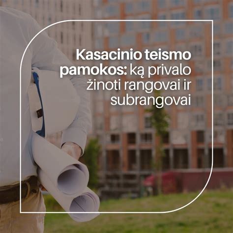 Infografika: Rangos ir subrangos santykių schema