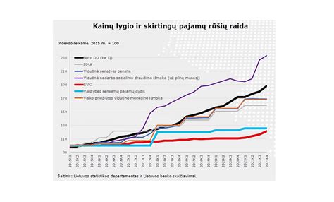 Infografika: automobilių nuomos verslo išlaidų ir pajamų palyginimas