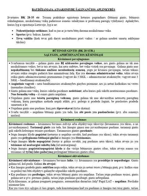Teminė nuotrauka, atspindinti baudžiamąją atsakomybę