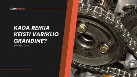 Schematinis automobilio komponentų, kuriuos reikia periodiškai tikrinti ir keisti, sąrašas