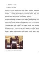 Sprendimo schemos paveikslas: darbinio veleno mechanizmas