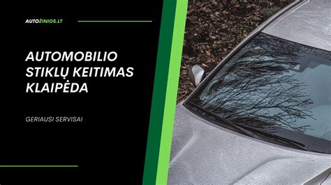 Infografika apie automobilio stiklų tipus ir jų pažeidimus