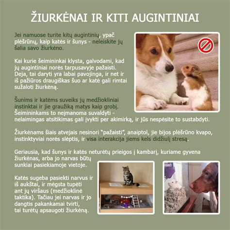 Ilustracija, vaizduojanti du skirtingų tipų ratlankius: vieną plieninį ir vieną aliumininį.