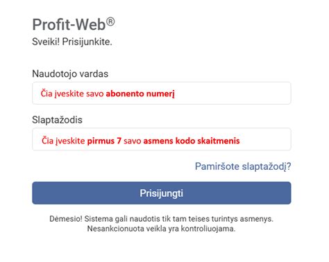 Įrenginių tvarkyklės lango pavyzdys