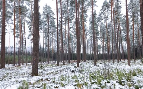 Schema, iliustruojanti tepimo procesą variklyje ir skirtingų alyvos savybių svarbą (klampa, temperatūrinė elgsena).