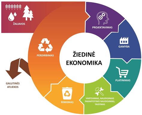 Ekovairavimo nauda ir principai, infografika