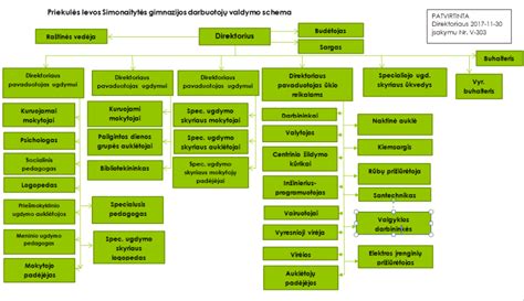Schema: Vadovo atsakomybės tipai ir jų aprašymas.