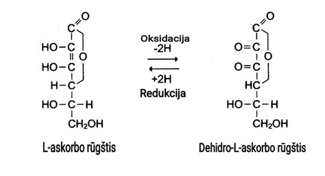 Askorbo rūgšties turtingų maisto produktų infografika