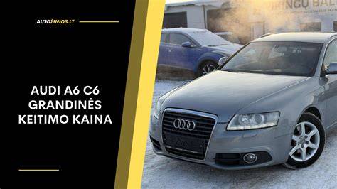 Infografika: Audi A6 C6 blokų architektūra ir svarbiausios gedimų sritys