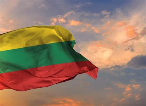 infografikas: Lietuvos valstybės vėliavos kėlimo taisyklės, laikas (07:00-22:00) ir privalomos datos