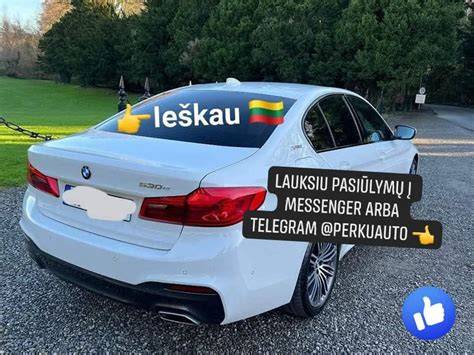 Infografika: UAB „Bavlas“ vieta ir teikiamos paslaugos