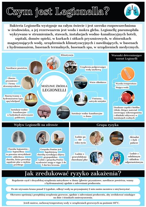 Pavyzdinė infografika: 