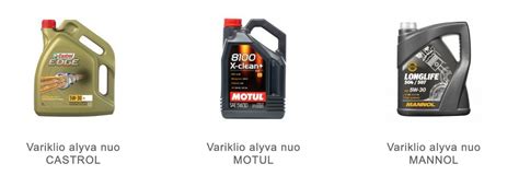 Teminė nuotrauka: įvairių gamintojų variklio alyvos buteliai
