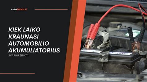 automobilio akumuliatoriaus įkrovos lygio diagrama